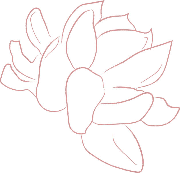 Emprendimiento 1 elements line drawing white jasmine flower illustrations FF57E82 2020 06 29 1