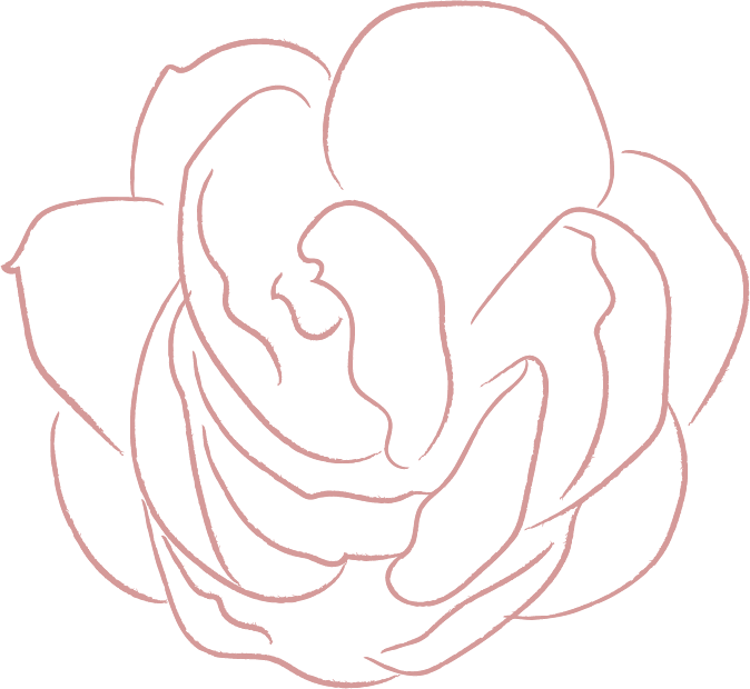 Inicio 6 elements line drawing white jasmine flower illustrations FF57E82 2020 06 29 2